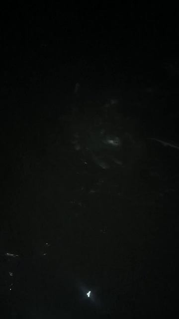 40127.mp4