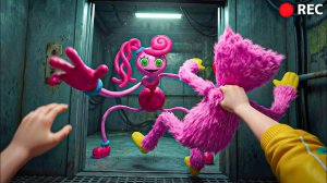 В ловушке в Playtime Co! Мамочка с длинными ногами и Кошачий сон меня преследуют