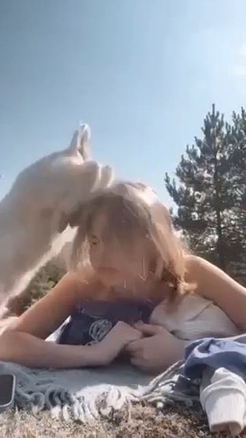 Алёнушка и братец Иванушка