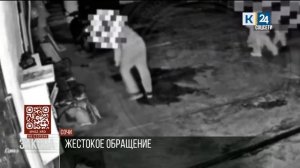 В Сочи умер старый пес, которого в конце февраля жестоко избил прохожий