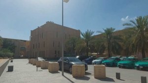 Из Сочи запустят прямые рейсы в Саудовскую Аравию после введения безвизового режима