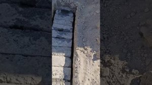 Начала строить вольеры, но пришлось приостановить