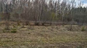 МЕДЛЕННО МИНУТЫ УПЛЫВАЮТ ВДАЛЬ...  ВЕСЕННИЙ ДЕНЬ   #video #love #reels #shorts #travel