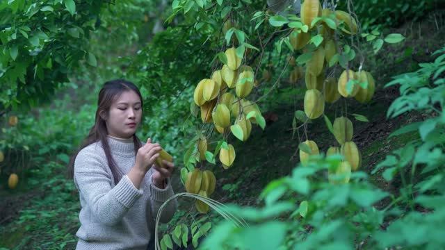 Девушка собирает звёздные фрукты. Каждый из них представляет собой идеальную пятиконечную звезду.