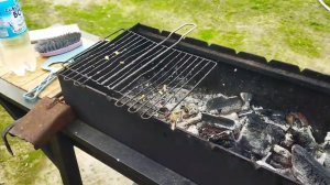 Сад, огород и зона отдыха на участке