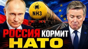 РОССИЯ «КОРМИТ ВРАГОВ!» ФИНЛЯНДИЯ ПРИЗНАЛА ВЕСЬ ХЛЕБ СТРАНЫ РАСТЁТ НА РОССИЙСКОМ АММИАКЕ