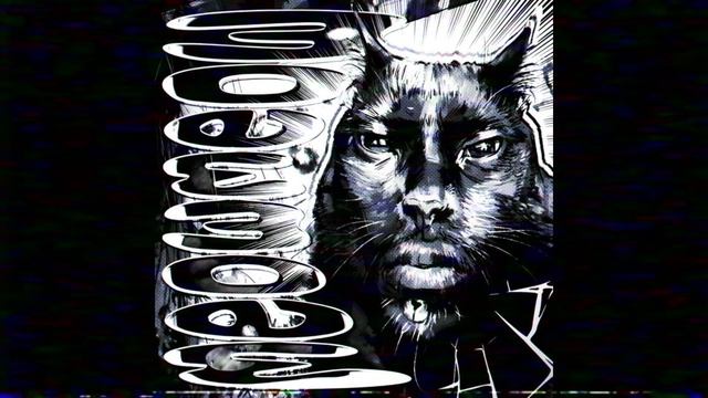 MEOW MEOW FUNK