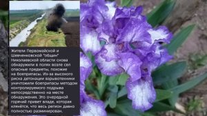Николаев 13 мая 2026 года (новости)