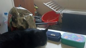 побег из тюрьмы 1 часть