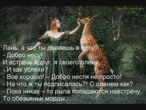 Лань, а что ты делаешь в лесу – Добро несу!