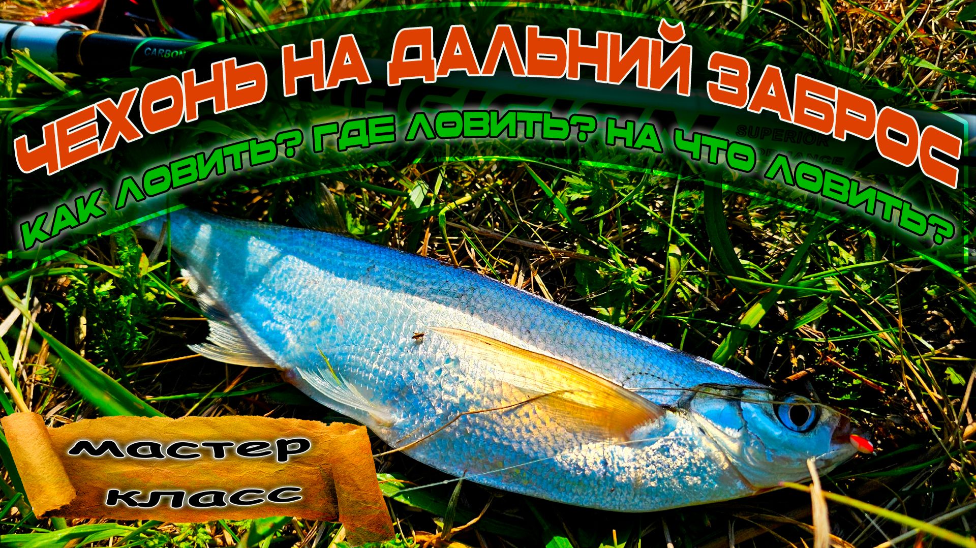 Ловля чехони на дальний заброс. Где ловить? Как Ловить? На что Ловить?