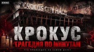 Крокус: Кто реально стоял за нападением? Новые детали