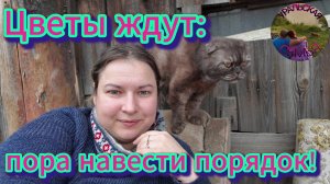 Сорняки-до свидания! Цветы, я иду вас спасать !