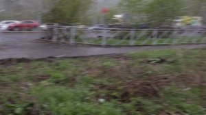 Снегопад и собакен