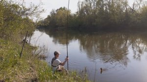 ПЕРВЫЙ Пошёл Он Просыпается.Рыбалка На Поплавок на Старом месте!
