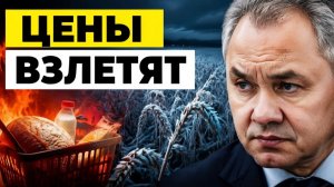Цены на еду взлетят что скрывает режим ЧС из-за заморозков