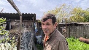 Большие перемены в козьем царстве.Открыли для себя новую породу коз.