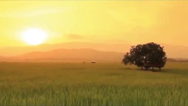 Умеем ли любить 1000127026.mp4