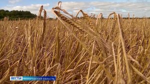 Вологодская область оказалась в числе лучших субъектов РФ по уровню достижения нацпроектов