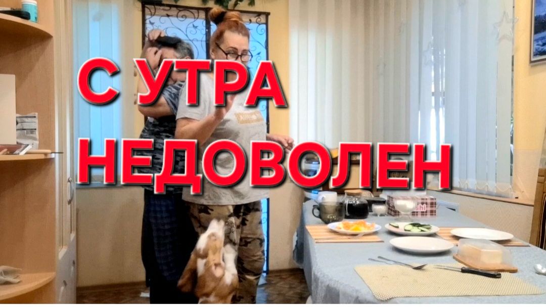 1231 С утра недоволен. Вывоз мусора в станице. Простая жизнь в станице на Кубани.