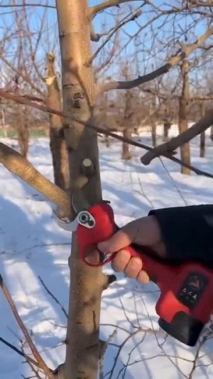Клип @delay_sam_remont