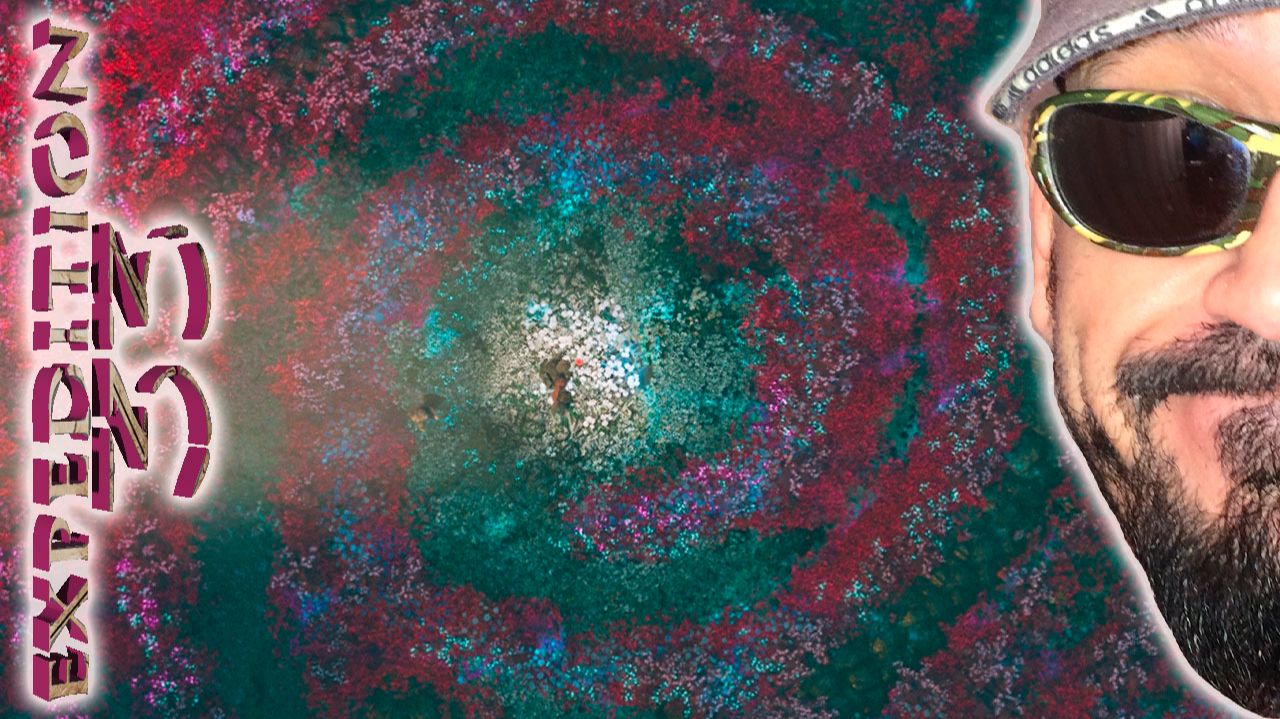 Гоблю с цветками и сюр подводного мира Clair Obscur Expedition 33