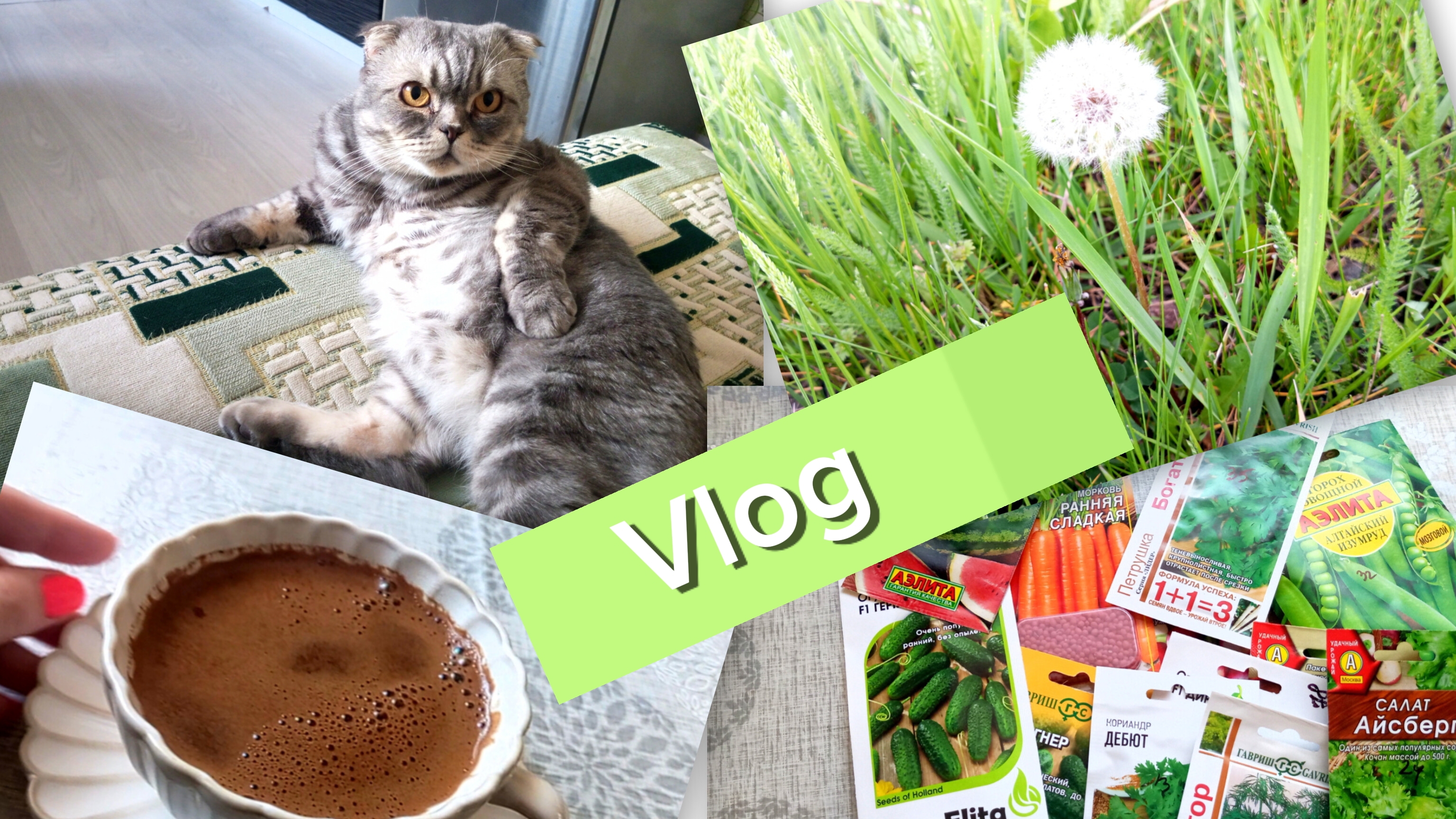 ВЛОГ. МОЕ БОДРОЕ УТРО🌄🙋/СЕМЕНА НА ПОСАДКУ/МОИ СРЕДСТВА ДЛЯ ВОЛОС🤗