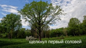 Щелкнул первый соловей