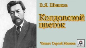 Аудиокнига. В.Я. Шишков «Колдовской цветок» слушать онлайн бесплатно
