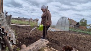 сходила снова на собрание / посадила растишки/ снова холодно