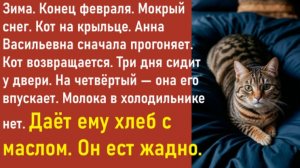Истории из жизни | Аудио рассказы | Аудиокниги слушать онлайн | Жизненные истории