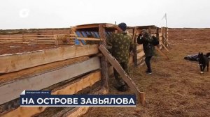 Дальний Восток на связи / В путешествие по острову Завьялова