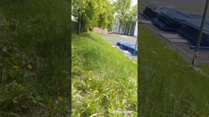 Я выживаю 99 ночей на школьном дворе со своими друзьями!