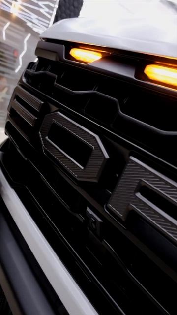 Ford Raptor в PlatinumG Север