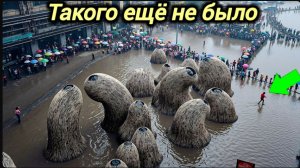 Новости Сегодня 14.05.2026 Катаклизмы, ЧП, События дня | Россия США Китай Европа Индия