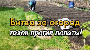 Битва за огород. Газон против лопаты!