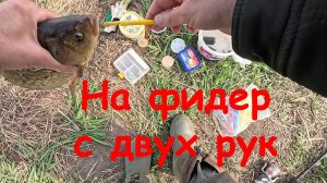 Крупный карась в мае. На фидер с двух рук ))