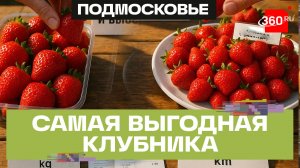 Дешево и сладко: где найти клубнику по самой низкой цене?
