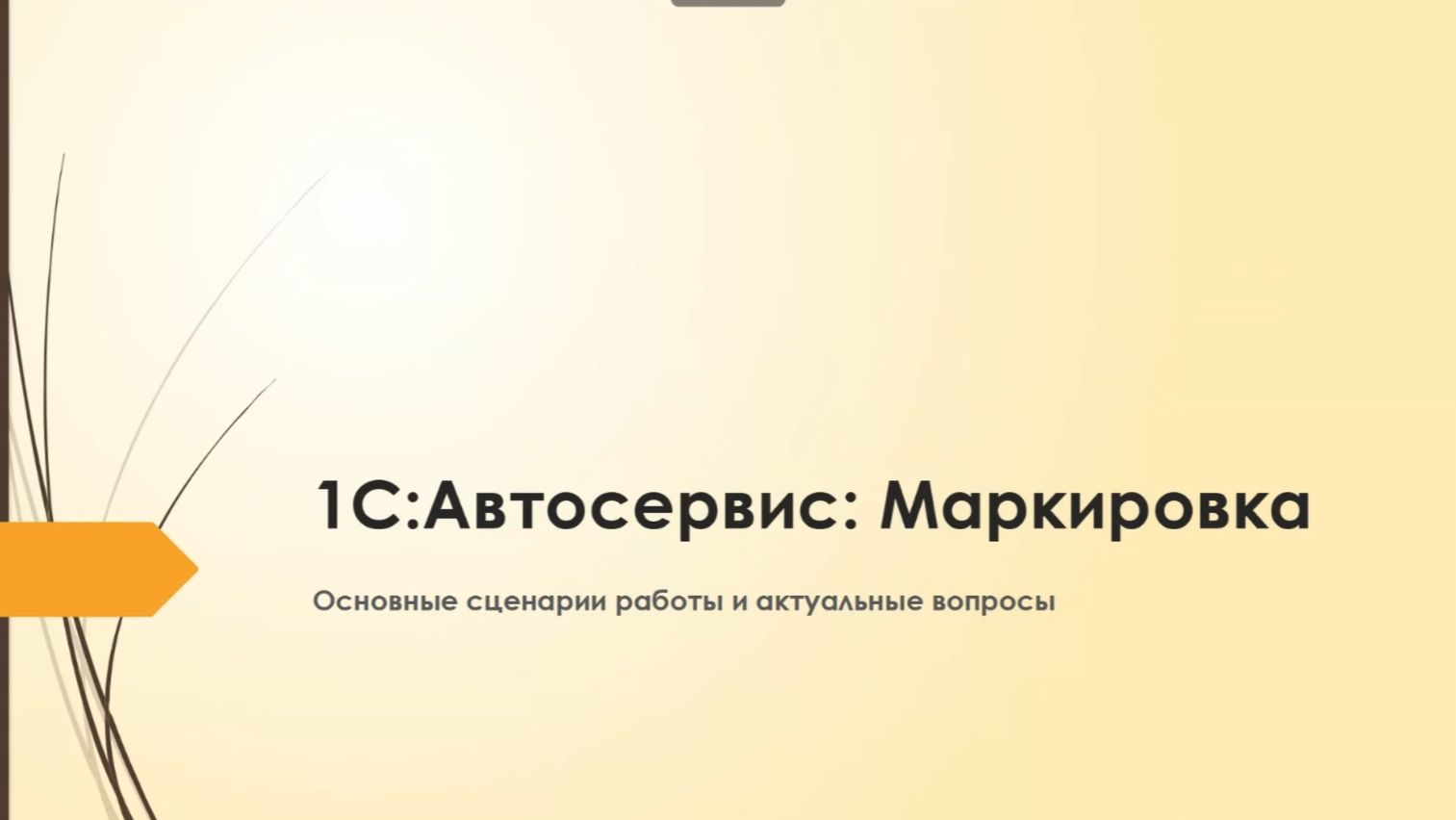 Маркировка в 1С:Автосервис. Основные сценарии работы и актуальные вопросы - 13.05.2026