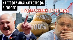 Картофельный пузырь, удобрения и системный кризис европейского сельского хозяйства. Михаил Хазин.