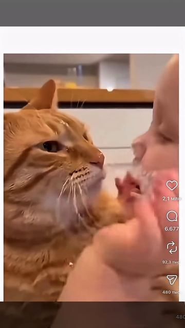 Мяу мяу🐈⬛ 😂#shortsvideo #юмор #мем #прикол #смех