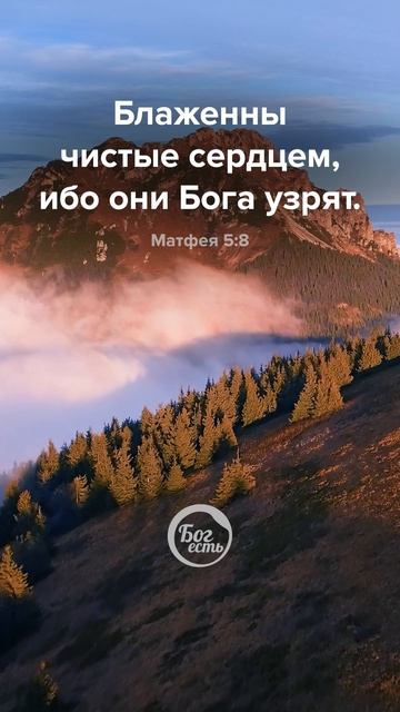 Матфея 5:8