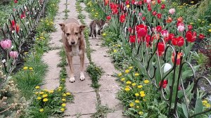 ПЛОХИЕ НОВОСТИ .ДАША.14-05-2026