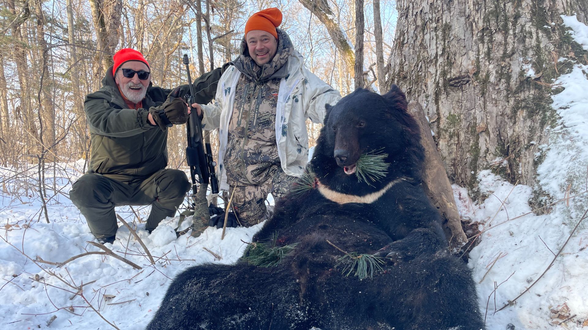 Охота на Гималайского медведя в 2022-2025 - Himalayan Black Bear Hunting in 2022-2025. смотреть онлайн