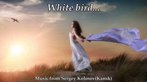 White bird...(Music from Sergey Kolosov)