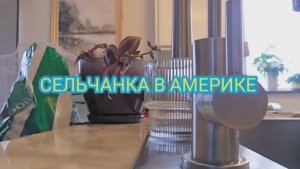 Сельчанка в Америке Мой продуктивный вечер от вазонов до лесных троп