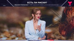 Грызуны - переносчики заболевания