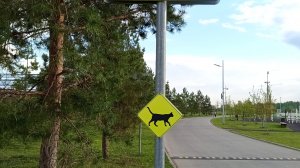 Мы едем в Москву!