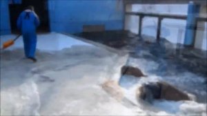 ПОМОЩНИКИ...