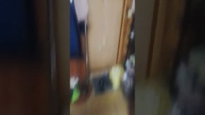 я прогнала